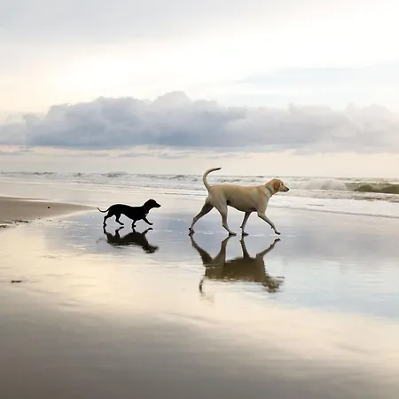 Puffin Perch - Part Of The The Bay Village With Pool, Gym And Direct Access, Pub, Restaurant, Tennis And Meadows Walks